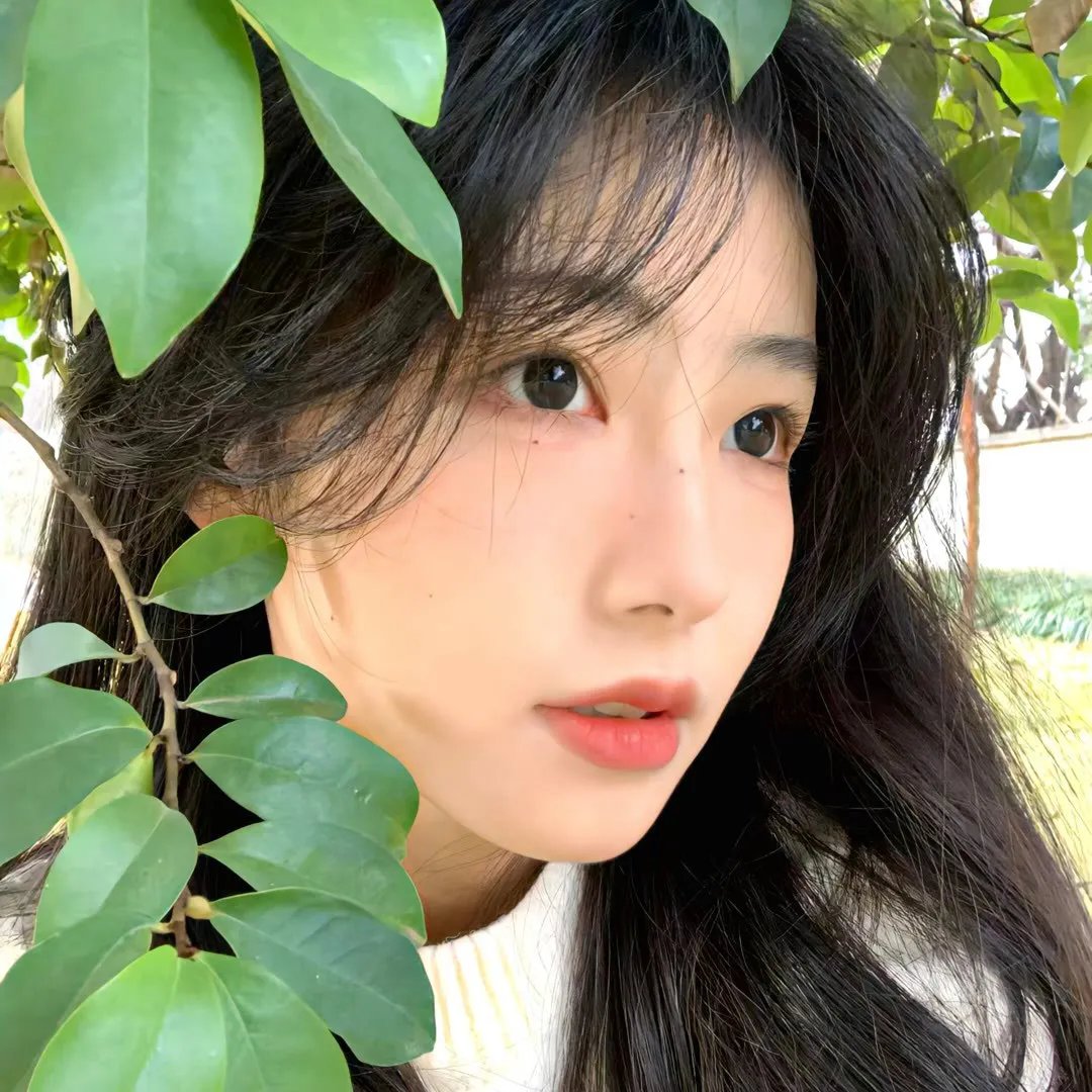 蛇与彩虹