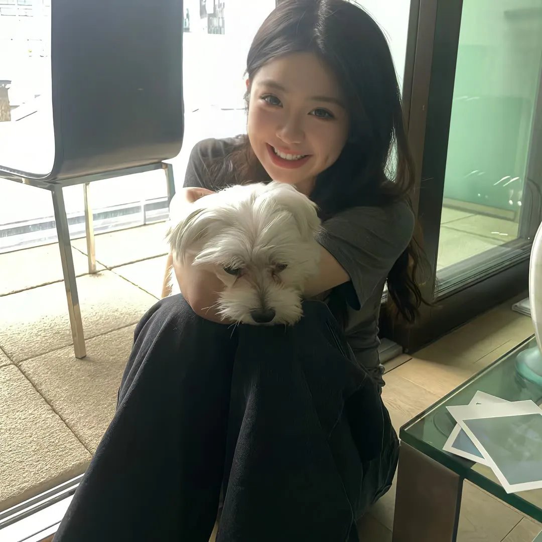鲜血的午后